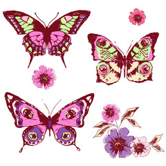 Fototapeta na wymiar butterfly,butterflies