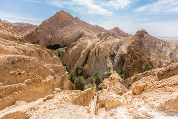 mountain oasis Chebika in Sahara desert, Tunisia © pavel068