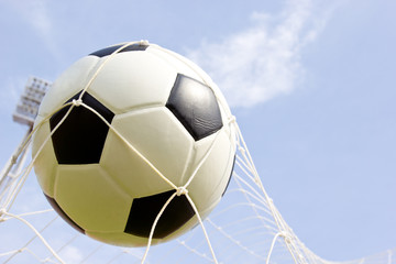 Soccer ball in the goal