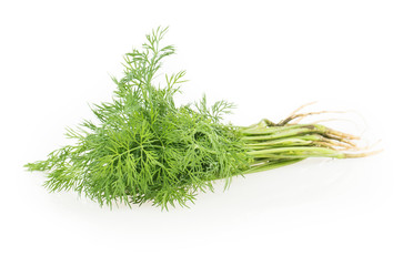 dill