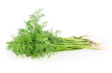 dill