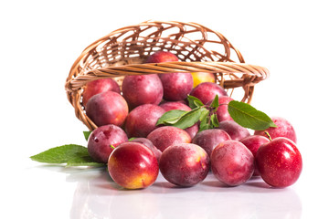 fresh ripe plum