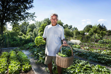 Man at Urban vegetable garden