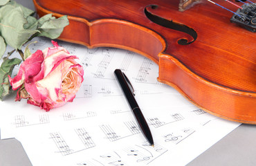 Fototapeta premium Classical violin on notes