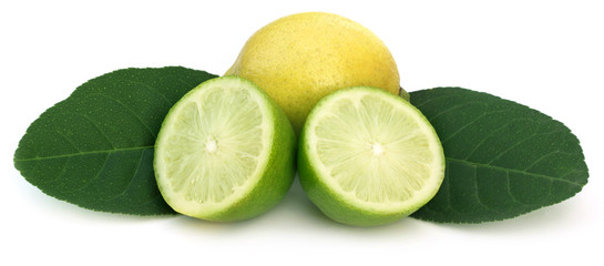 Sliced Lemon with green leaves