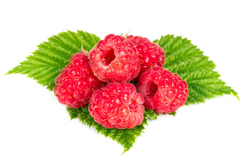 Raspberries on green leaves