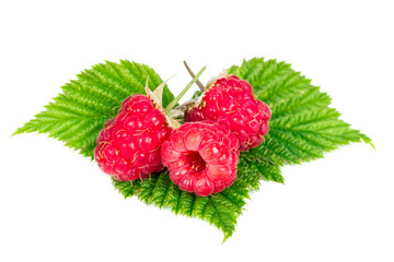 Raspberriesisolated on white background © Nataliia Pyzhova