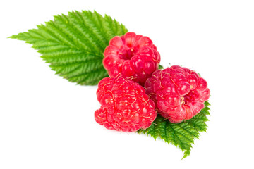 Raspberries isolated on white