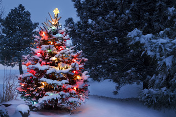Brightly Lit Snow Covered Holiday Christmas Tree Winter Storm - 54236814