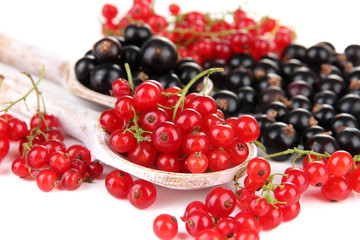 Red and black currant in wooden spoons isolated on white