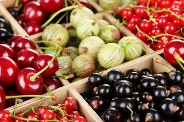 Different summer berries in wooden crate, close up