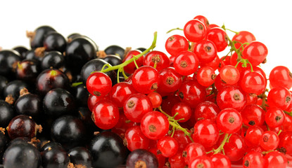 Red and black currant isolated on white