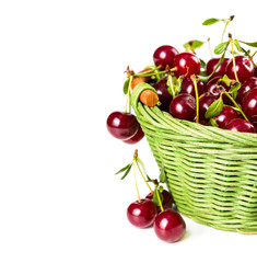 Ripe cherries in wicker basket