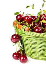 Ripe cherries in wicker basket