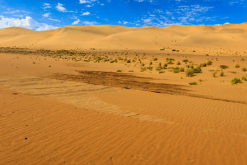 Fototapeta na wymiar Farbiger Sand in der Namib Wüste