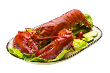 Large Lobster