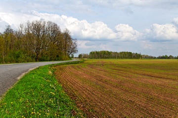 Country landscape.