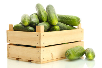 fresh cucumbers in wooden box isolated on white