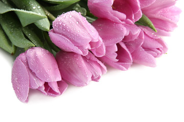 Fototapeta na wymiar Beautiful bouquet of purple tulips, isolated on white