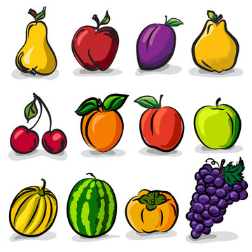 Temperate fruits sketch drawing vector set