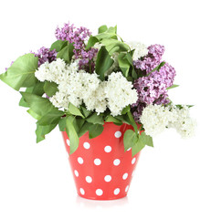 Beautiful lilac flowers in vase, isolated on white