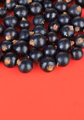 Blackcurrants on red background