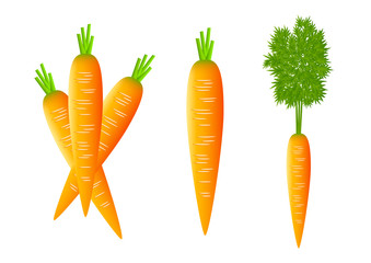 Carrots on white background