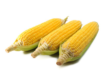 Corn