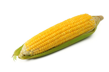 Corn