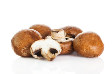 mushroom  isolated on white background.