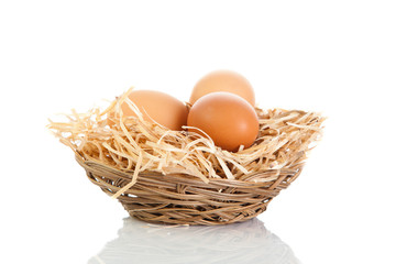 eggs isolatedon white background
