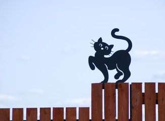 The black cat on a fence