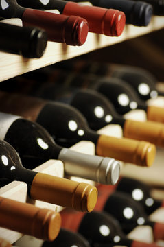 Fototapeta Wine bottles