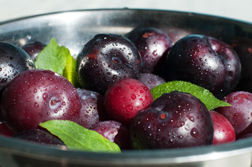 fresh plums