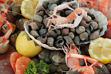 Fruits de mer