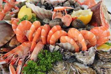 Fruits de mer © Arnaud TAFILET