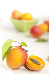 Apricot selective focus