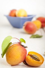 Apricot with leaves