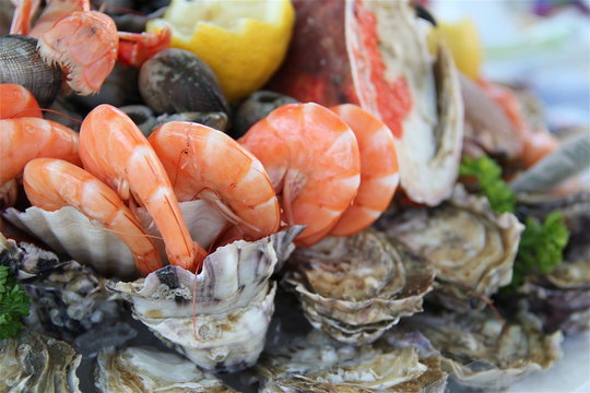 Fruits De Mer