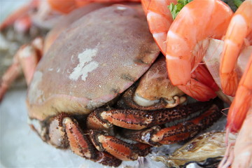 Fruits de mer