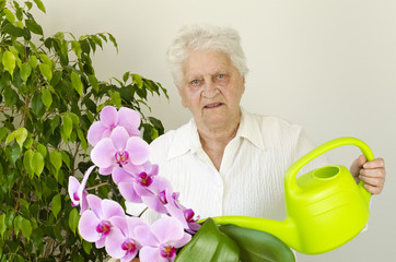 Seniorin über 80 gießt Zimmerpflanzen