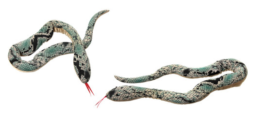 Toy Snakes