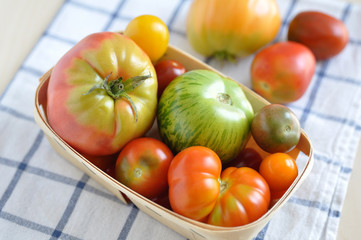 Fototapeta na wymiar Starych odmian pomidorów