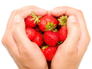 Obraz premium strawberries in a hands