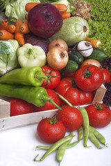 freshly picked organic vegetables