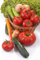 freshly picked organic vegetables