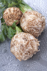 Fototapeta premium fresh organic celery