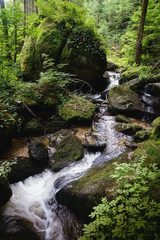 Obraz premium Naturgerinne Saubachl