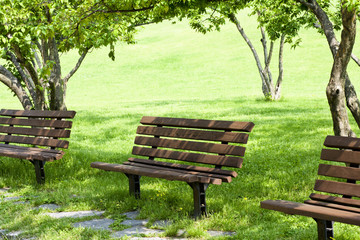 Fototapeta na wymiar benches in a beautiful park