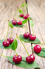 Ripe cherry and green leaf